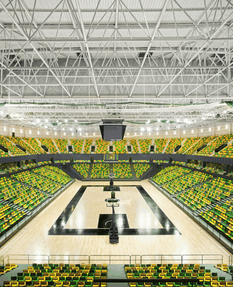 Arenas — Space frame solutions with large spans (1)